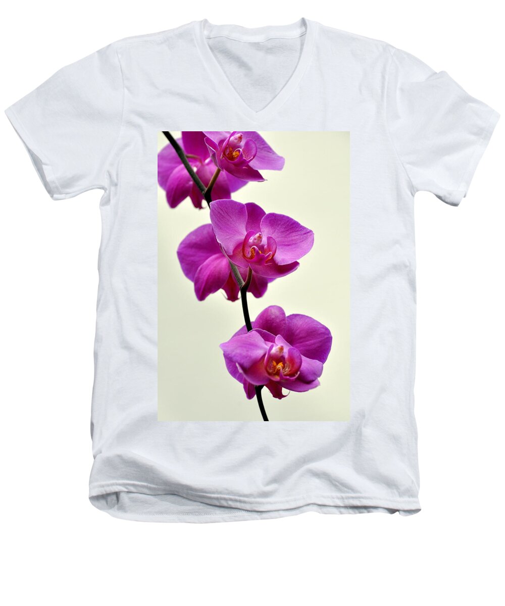 Orchid Men's V-Neck T-Shirt featuring the photograph Orchid 26 by Marty Koch
