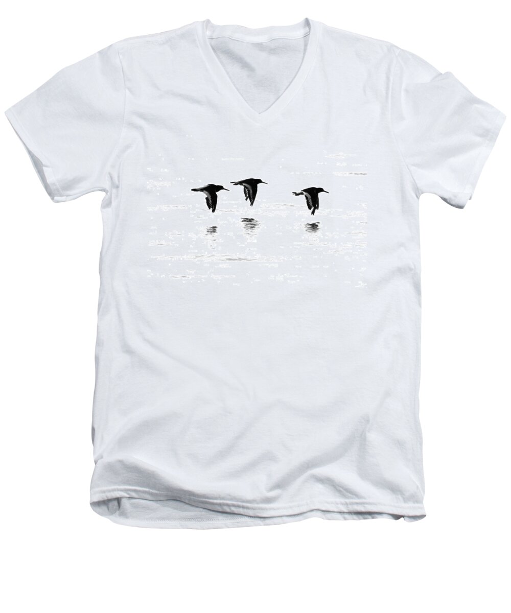 Oystercatchers Flying  Men's V-Neck T-Shirt featuring the photograph Oystercatchers by Ian Sanders