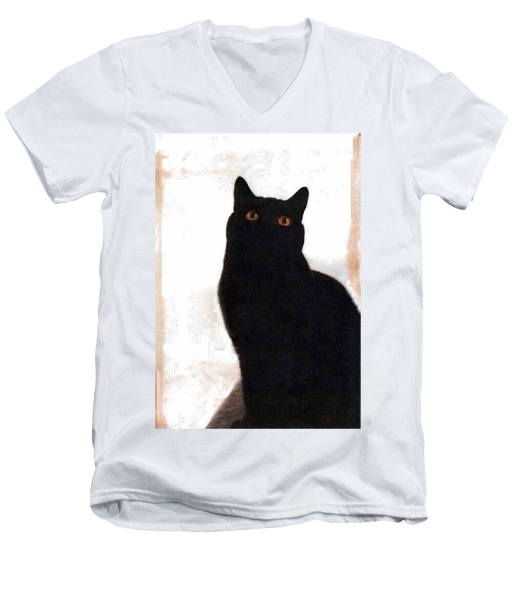 Cats Men's V-Neck T-Shirt featuring the photograph Panther the British Shorthair Cat by Judy Kennedy