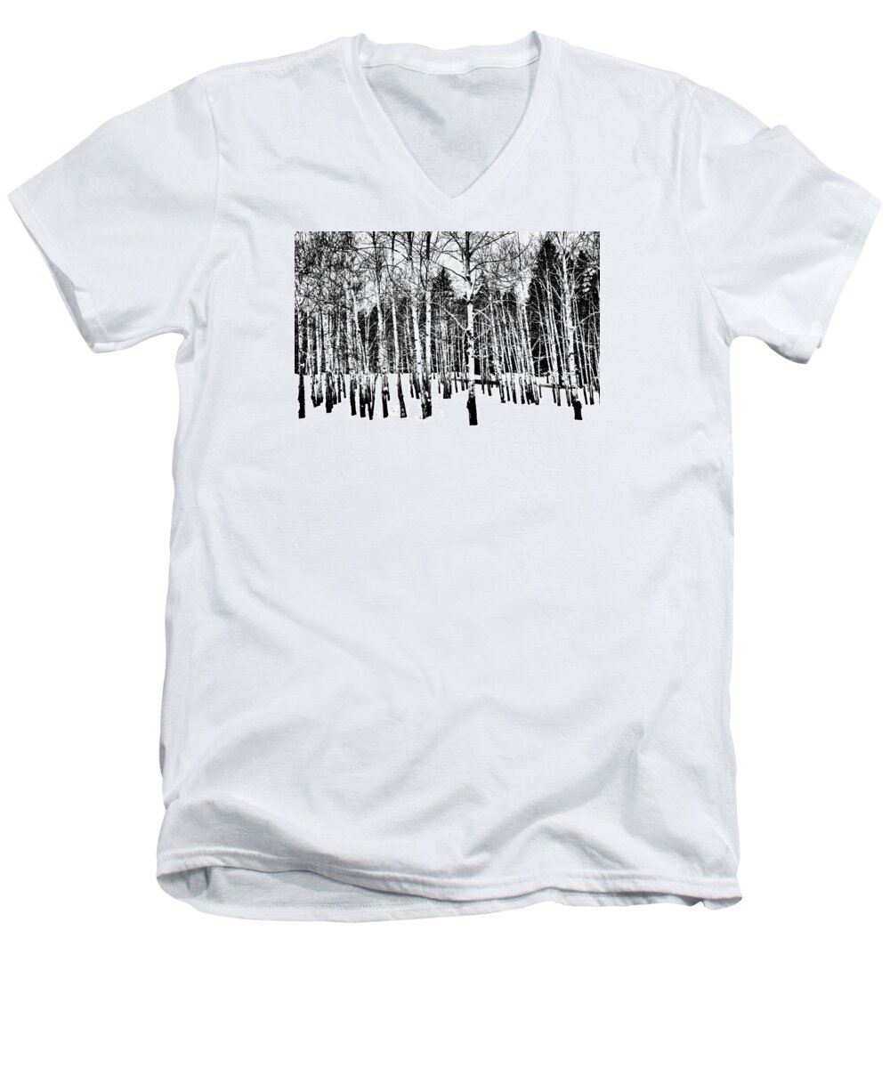 Aspens Men's V-Neck T-Shirt featuring the photograph Parade of Aspens by Jacqui Binford-Bell