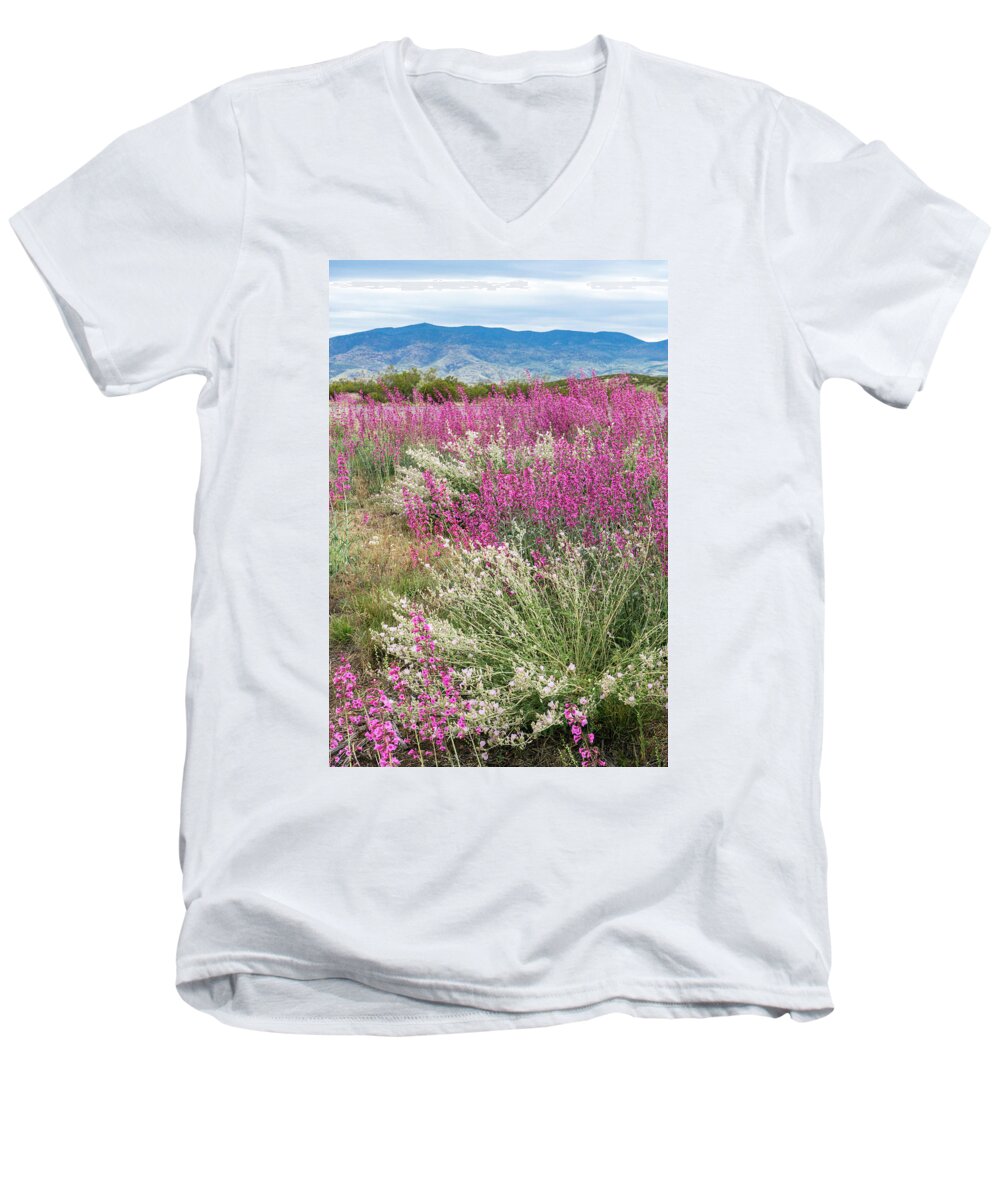 © Karen Stephenson Men's V-Neck T-Shirt featuring the photograph Penstemon at Black Hills by Karen Stephenson