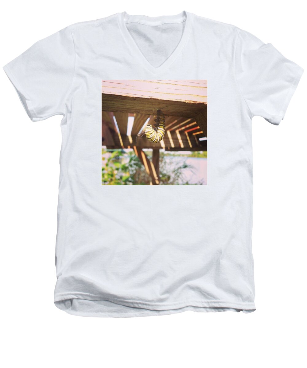 Caterpillar Men's V-Neck T-Shirt featuring the photograph Peparing for Transformation by Rebecca Wood