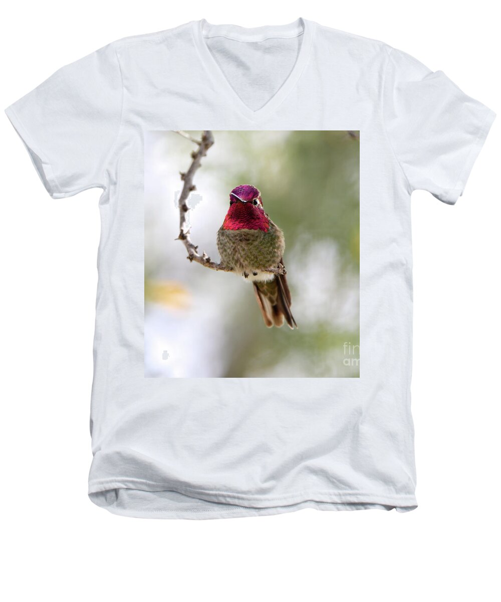 Denise Bruchman Men's V-Neck T-Shirt featuring the photograph Pink Anna's Hummingbird by Denise Bruchman