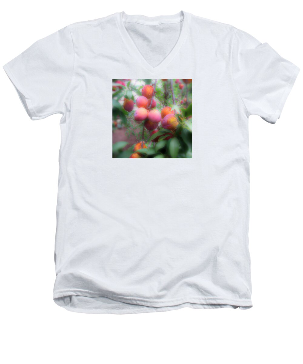 Fruit Men's V-Neck T-Shirt featuring the photograph Plum Delight by Lora Fisher