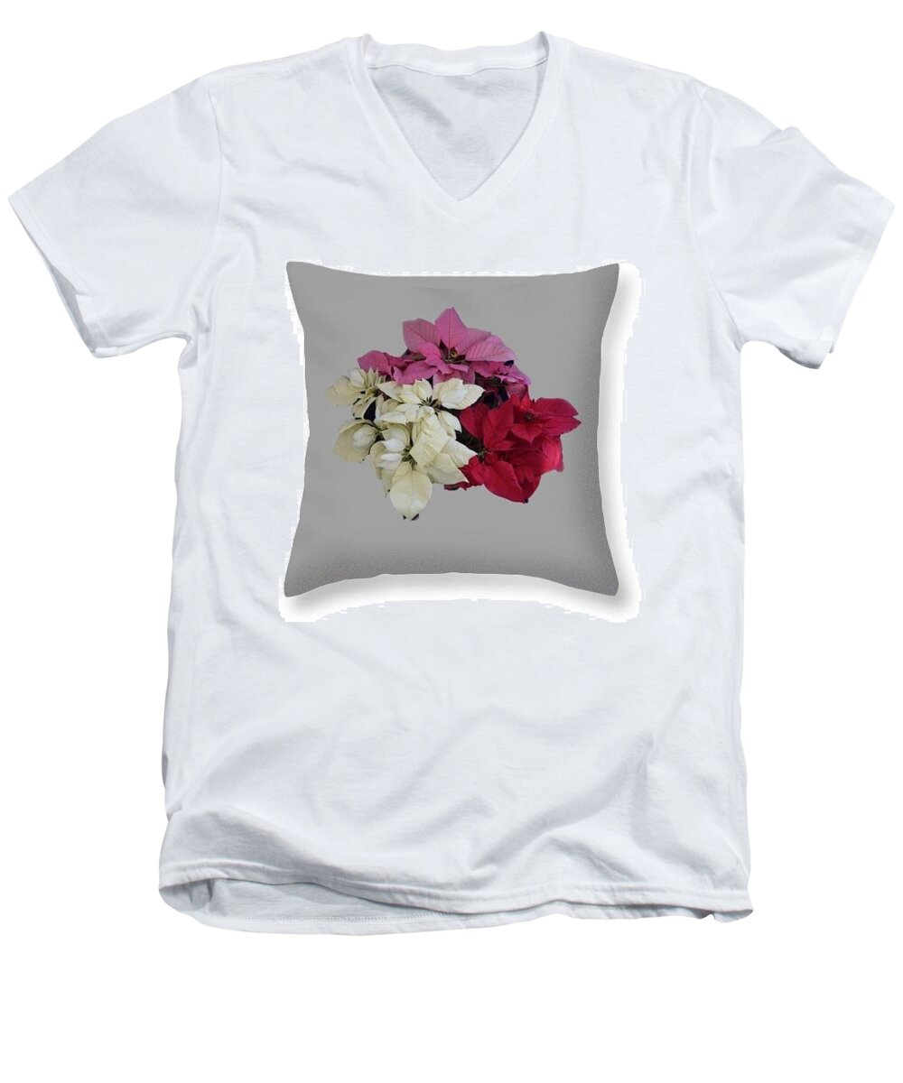  Men's V-Neck T-Shirt featuring the photograph Poinsettias Pillow Grey Background by R Allen Swezey