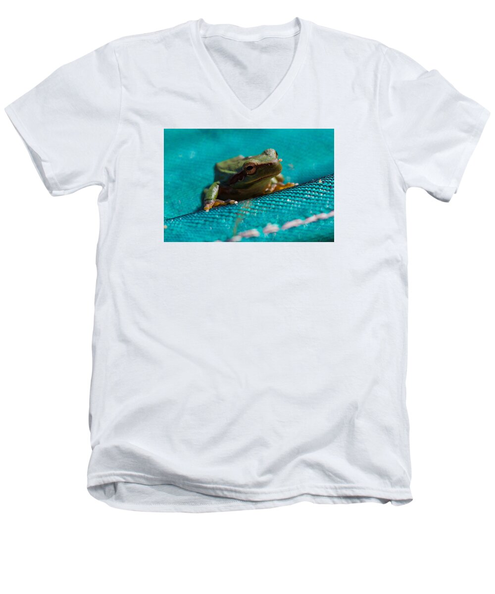 Amphibians Men's V-Neck T-Shirt featuring the photograph Pool Frog by Richard Patmore