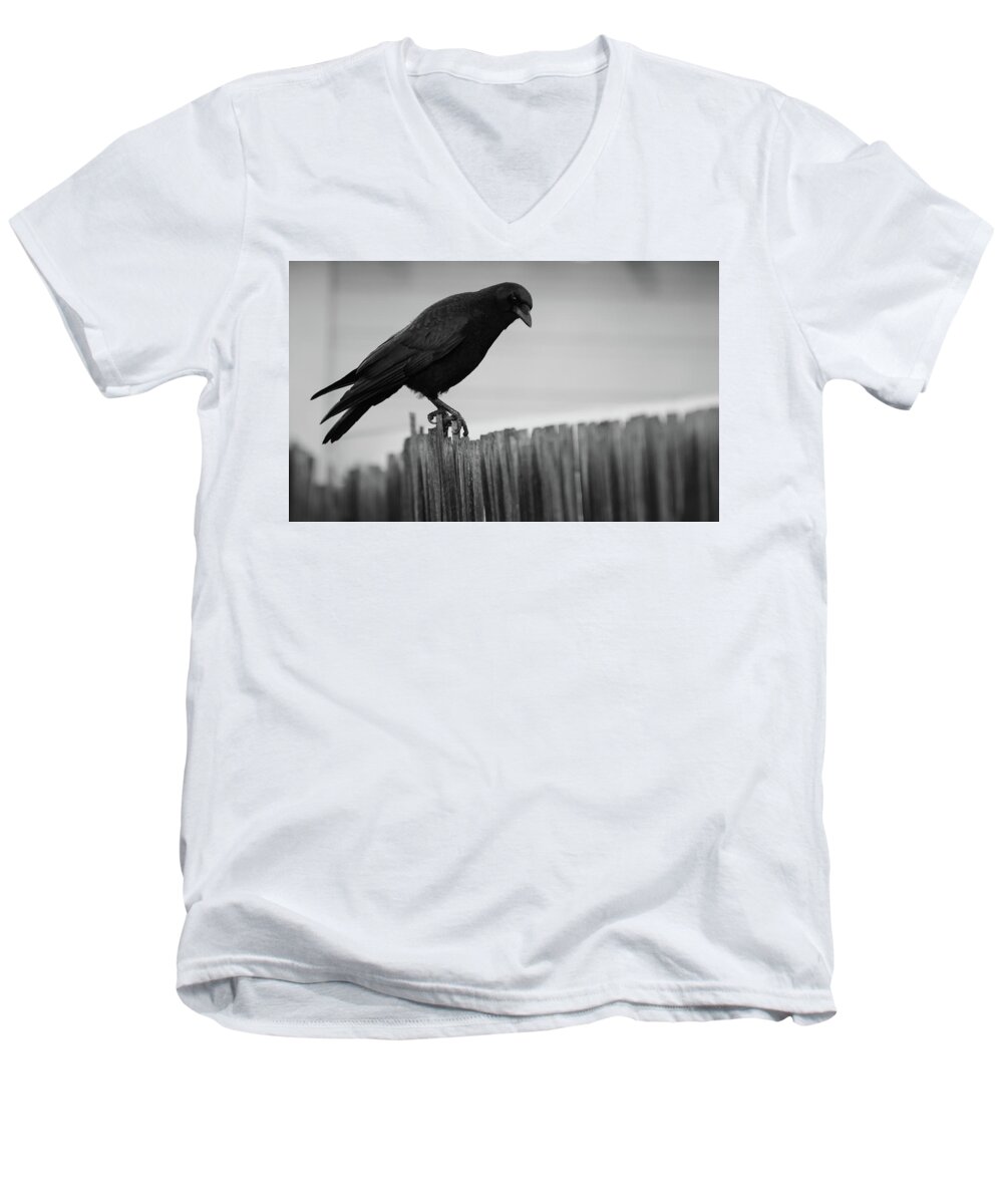 #crowlovers- Corvids - Black And White- Art#raeannm.garrett- Photography Of Raeanngarrett- Birds- Black Birds- Mother Crow- Men's V-Neck T-Shirt featuring the photograph Possible by Rae Ann M Garrett