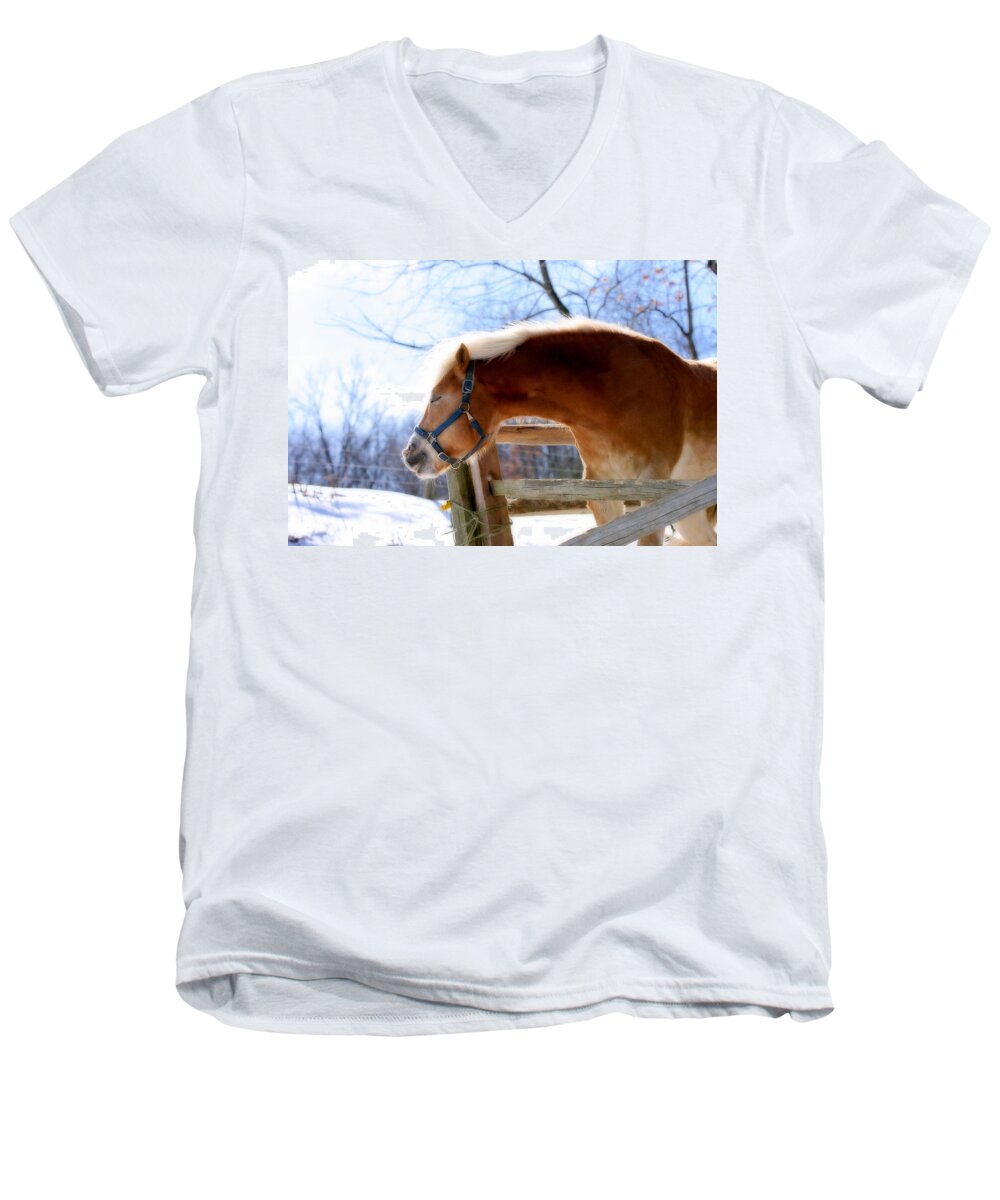 Horse Men's V-Neck T-Shirt featuring the photograph Pssssssh.....It's Not Cold by Angela Rath