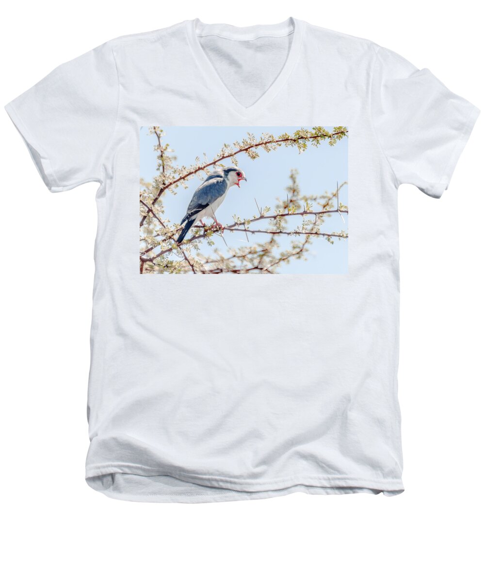 Birds Men's V-Neck T-Shirt featuring the photograph Raptor - Serengeti by Patrick Kain