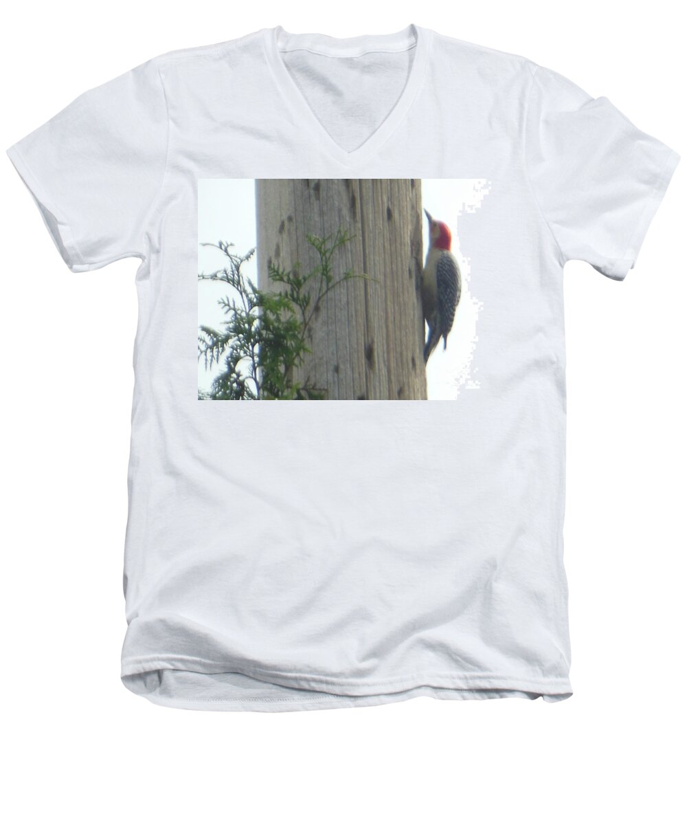 Red Bellied Men's V-Neck T-Shirt featuring the photograph Red Bellied Woodpecker by Rockin Docks Deluxephotos