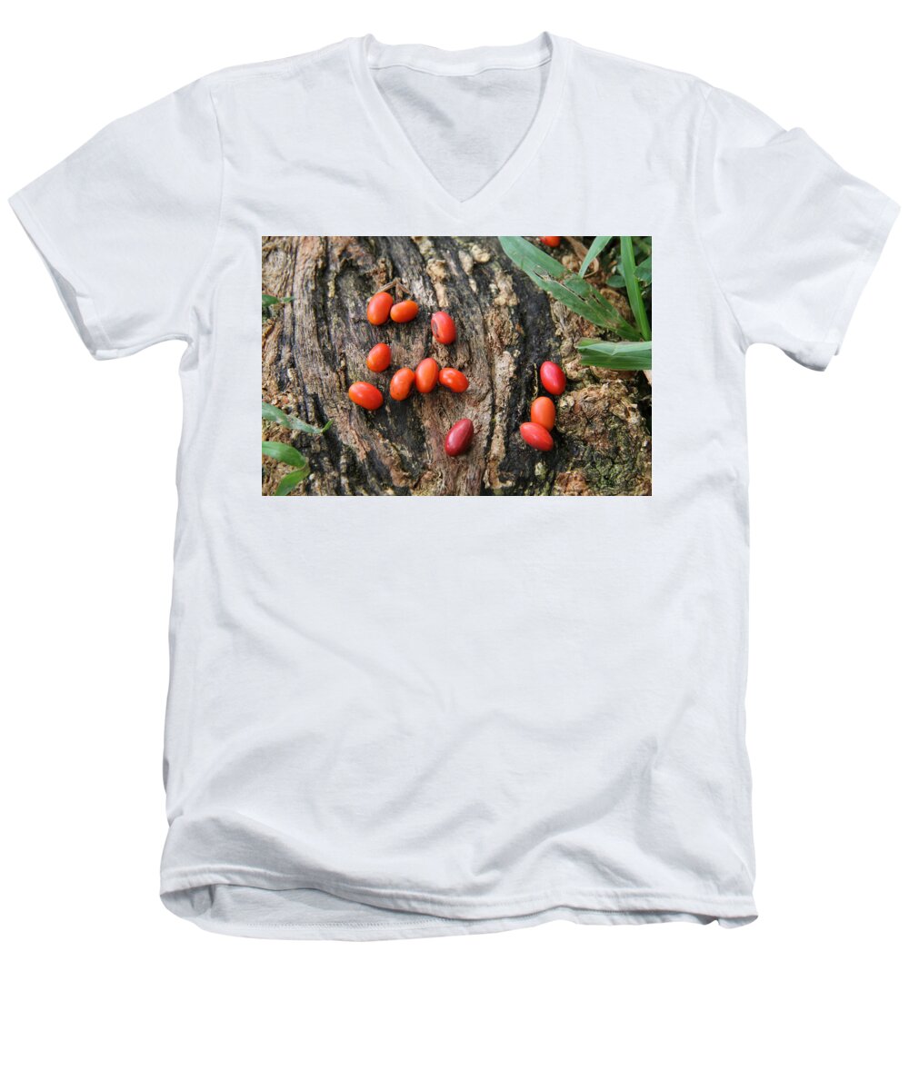 Red Seeds Men's V-Neck T-Shirt featuring the photograph Red seeds by Jennifer Bright Burr