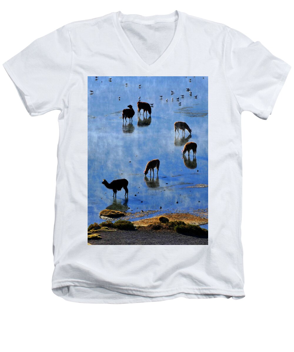 Rendezvous Men's V-Neck T-Shirt featuring the photograph Rendezvous by Skip Hunt
