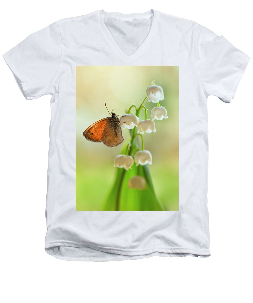 Butterfly Men's V-Neck T-Shirt featuring the photograph Rest in the morning sun by Jaroslaw Blaminsky