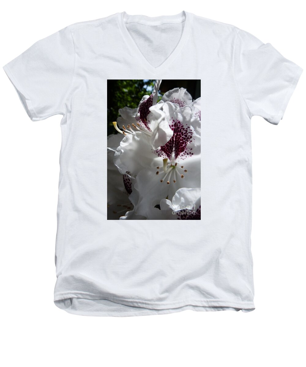 Bloom Men's V-Neck T-Shirt featuring the photograph Rhododendron 1 by Jean Bernard Roussilhe
