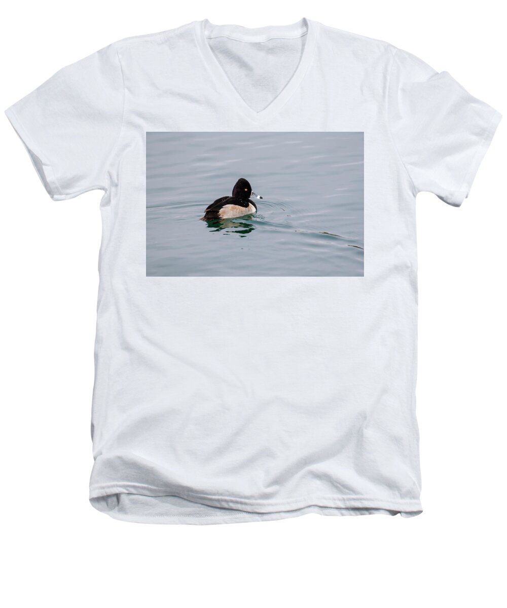 Gary Hall Men's V-Neck T-Shirt featuring the photograph Ring Necked Duck 2 by Gary Hall
