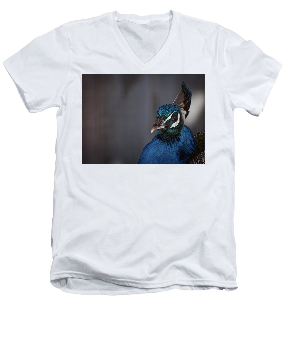 Photography Men's V-Neck T-Shirt featuring the photograph Royal Plume by Kathleen Messmer
