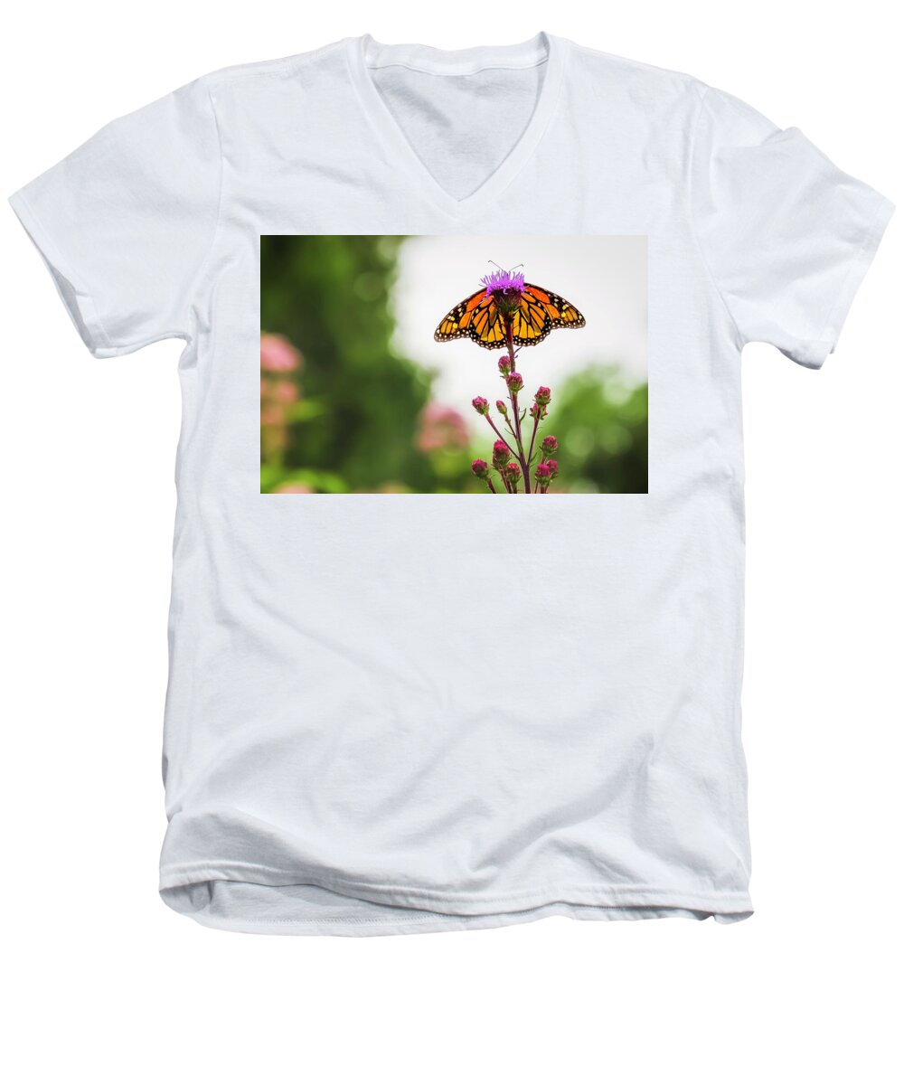 Monarch Men's V-Neck T-Shirt featuring the photograph Sanctuary by Terri Hart-Ellis