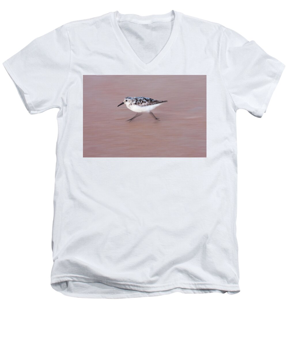 Sanderling Men's V-Neck T-Shirt featuring the photograph Sanderling On The Run by Paul Rebmann