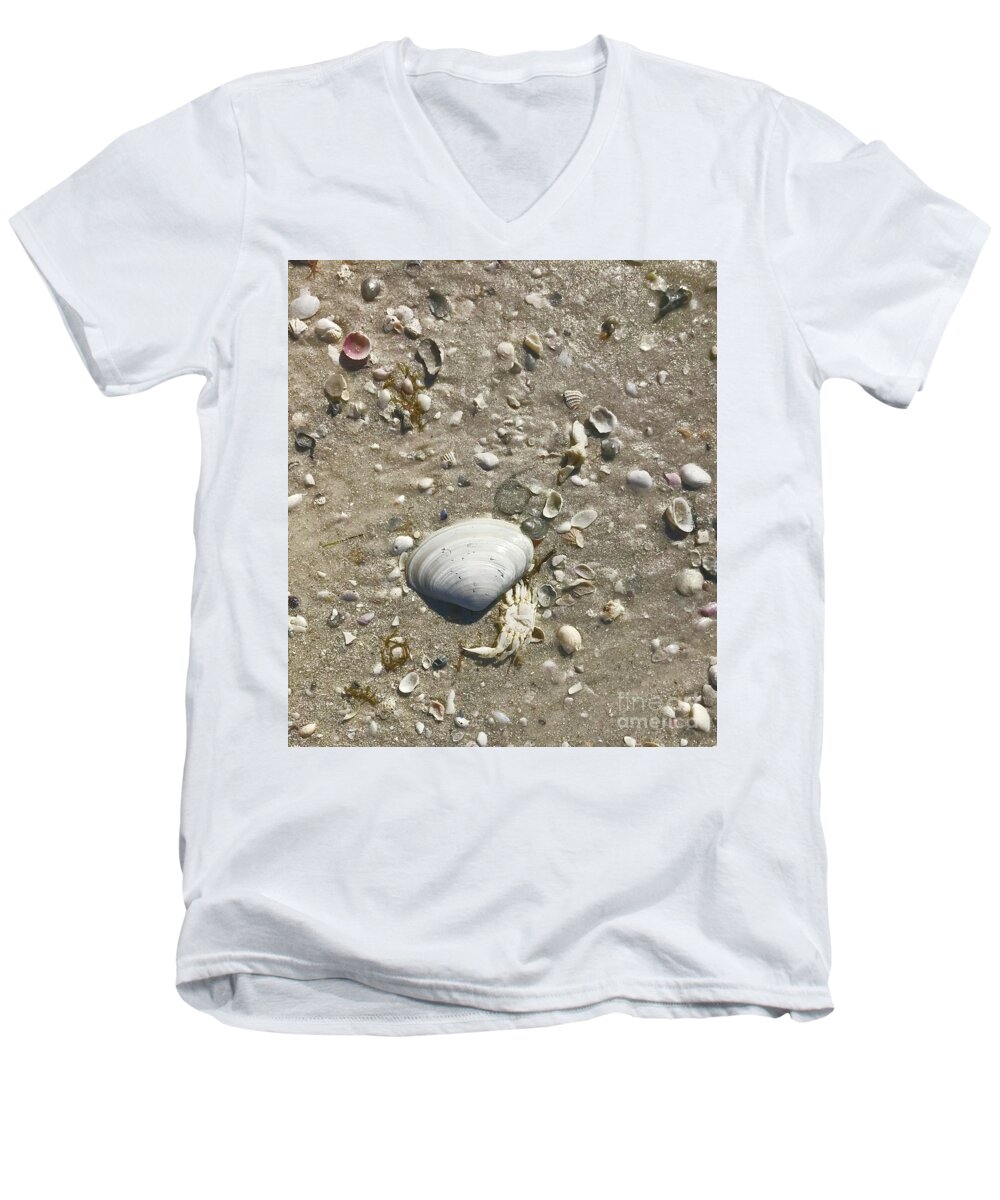 Shells Men's V-Neck T-Shirt featuring the photograph Sarasota County Shells by Suzanne Lorenz