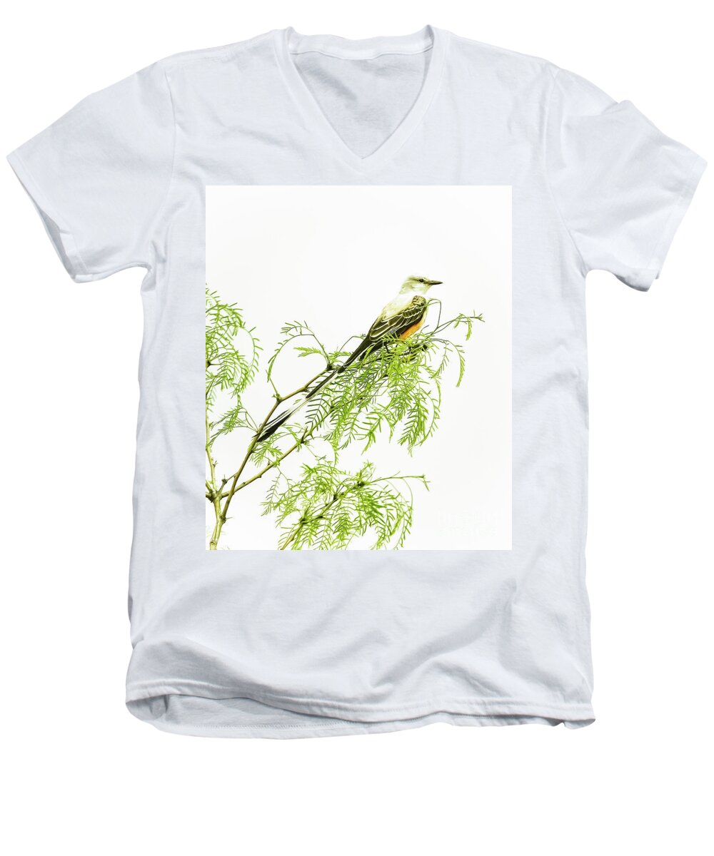 Animal Men's V-Neck T-Shirt featuring the photograph Scissortail On Mesquite by Robert Frederick