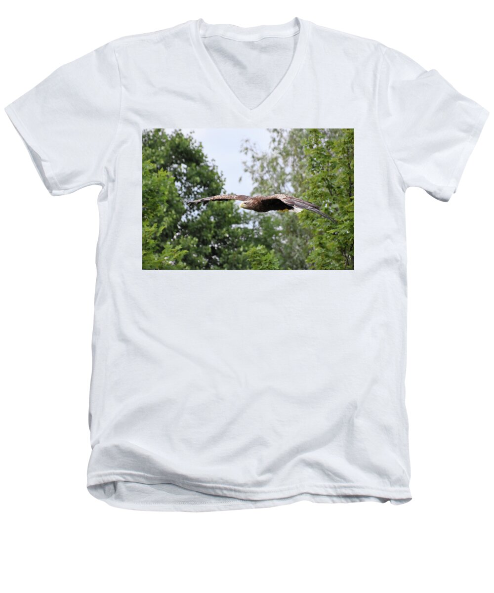 White Tailed Men's V-Neck T-Shirt featuring the photograph Sea Eagle by Kuni Photography