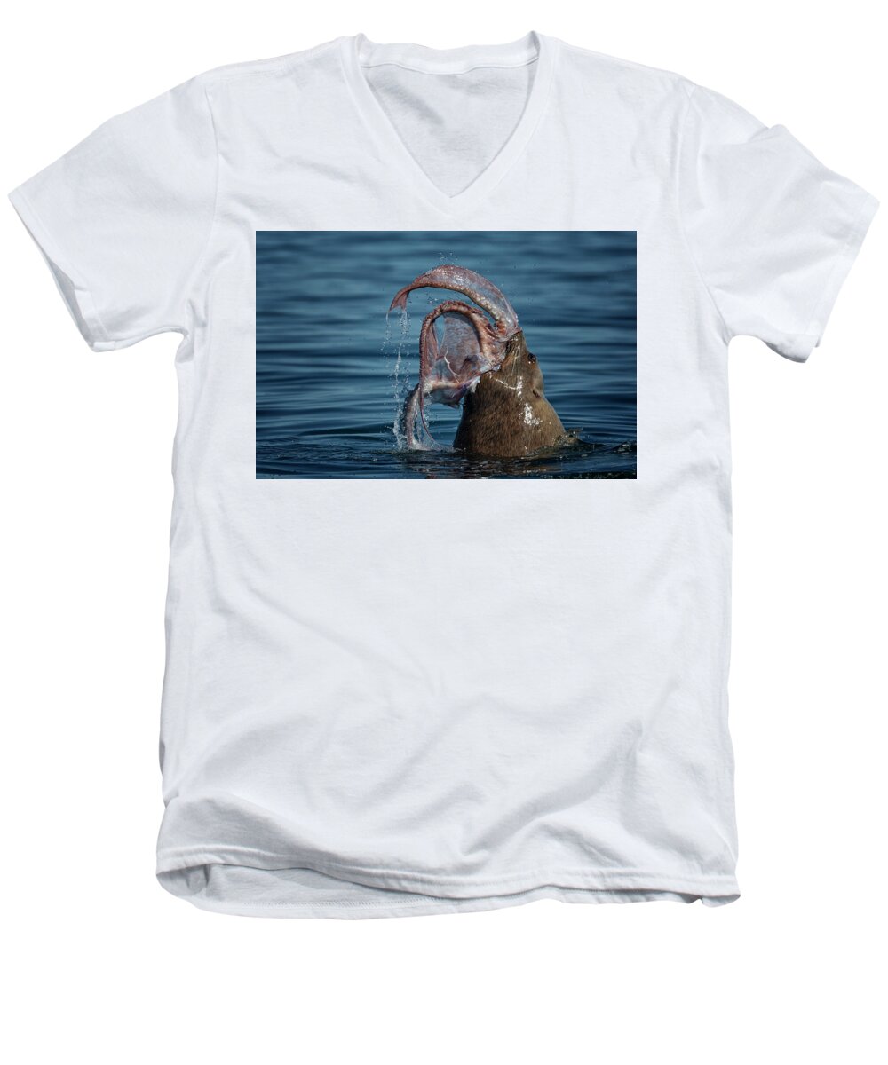 Bc Men's V-Neck T-Shirt featuring the photograph Seafood Diet by Randy Hall