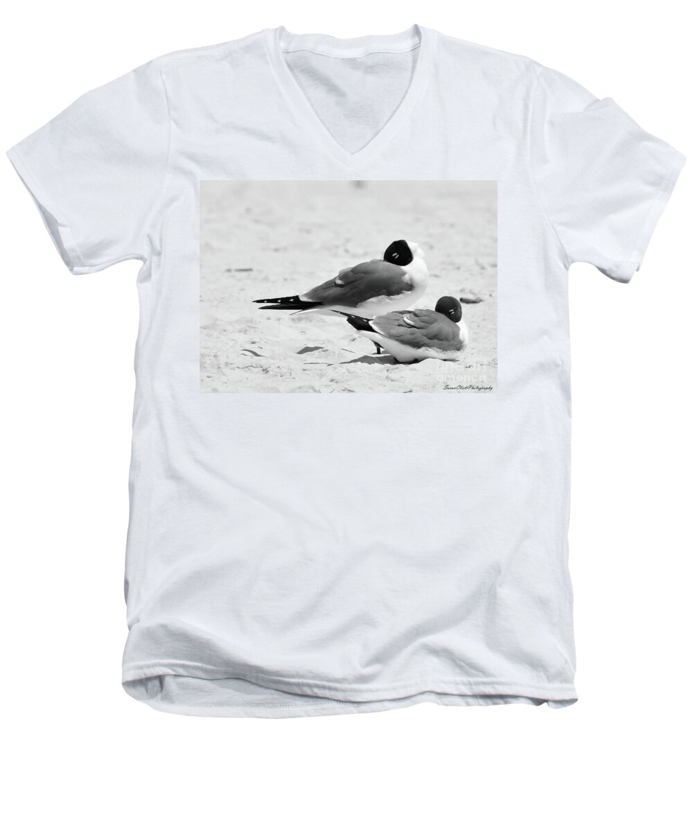 Beach Men's V-Neck T-Shirt featuring the photograph Seagull Nap Time by Susan Cliett