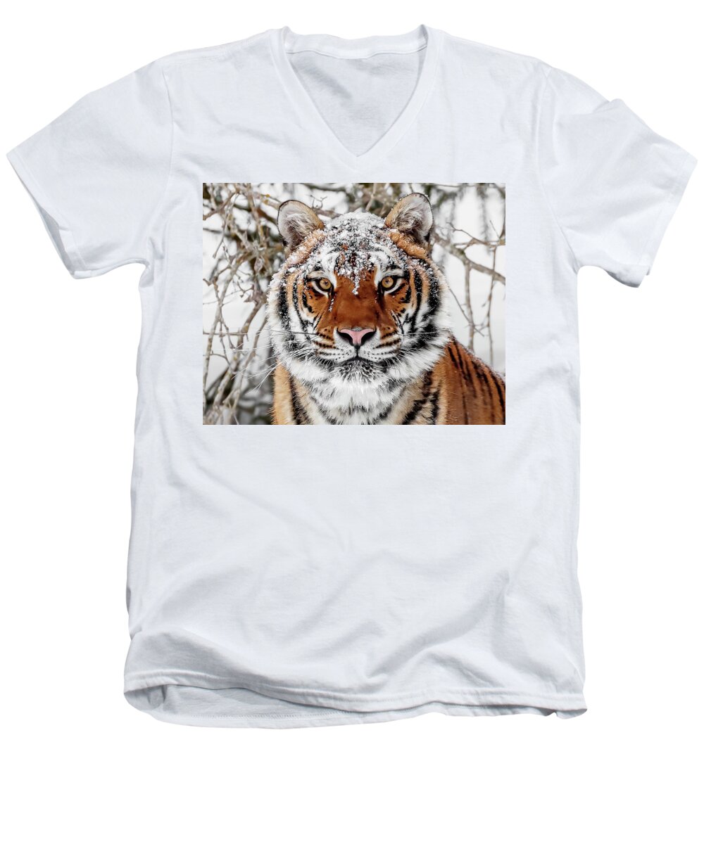 Snow Capped Siberian Men's V-Neck T-Shirt featuring the photograph Snow Capped Siberian by Wes and Dotty Weber