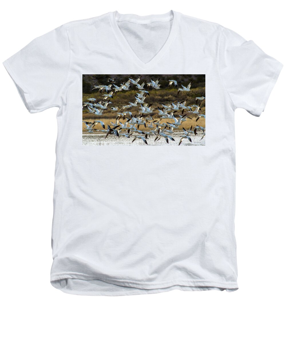 Snow Geese Men's V-Neck T-Shirt featuring the photograph Snow Geese Flock in Flight by Judi Dressler