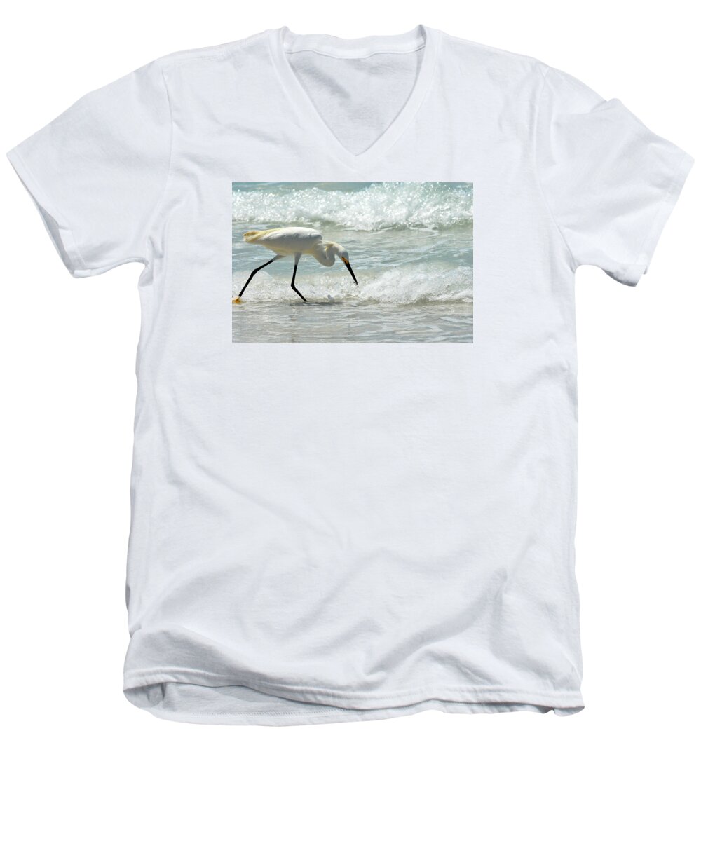 Lido Beach Men's V-Neck T-Shirt featuring the photograph Snowy Egret 6265 Lido Beach by Steve Somerville