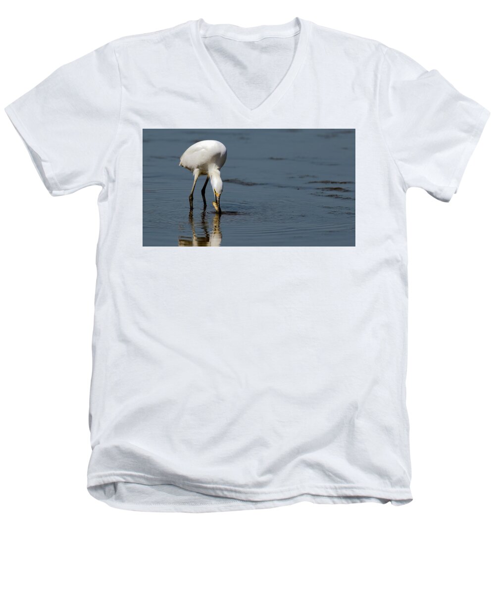 Snowy Egret Men's V-Neck T-Shirt featuring the photograph Snowy Egret fishing by Sam Rino