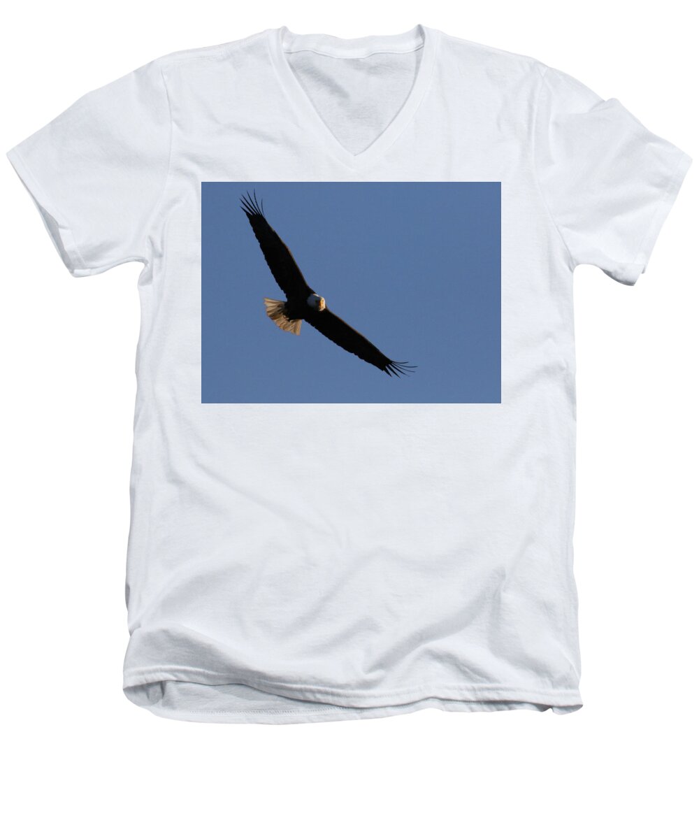 Eagle Men's V-Neck T-Shirt featuring the photograph Soaring Eagle by Brook Burling