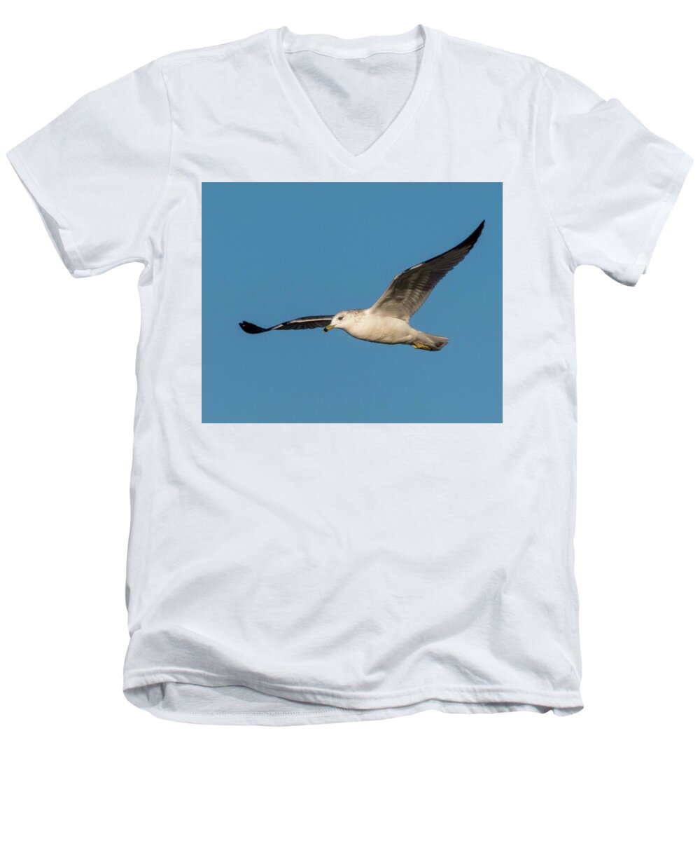 Wildlife Men's V-Neck T-Shirt featuring the photograph Soaring Gull by John Benedict