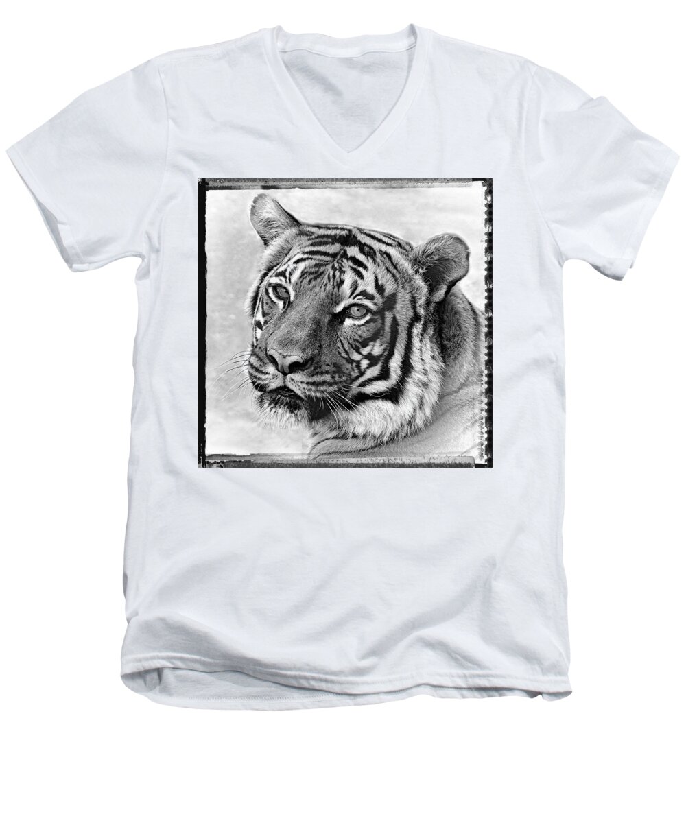 Tigers Men's V-Neck T-Shirt featuring the photograph Sometimes Less Is More by Elaine Malott