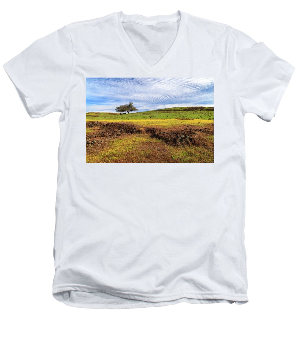 Lava Rock Men's V-Neck T-Shirt featuring the photograph Spring On North Table Mountain by James Eddy