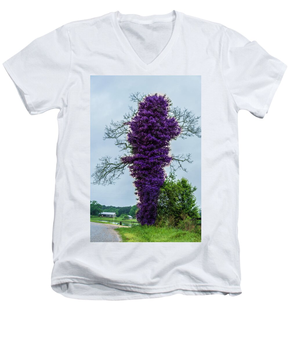 Tree Men's V-Neck T-Shirt featuring the photograph Spring Tree by Metaphor Photo