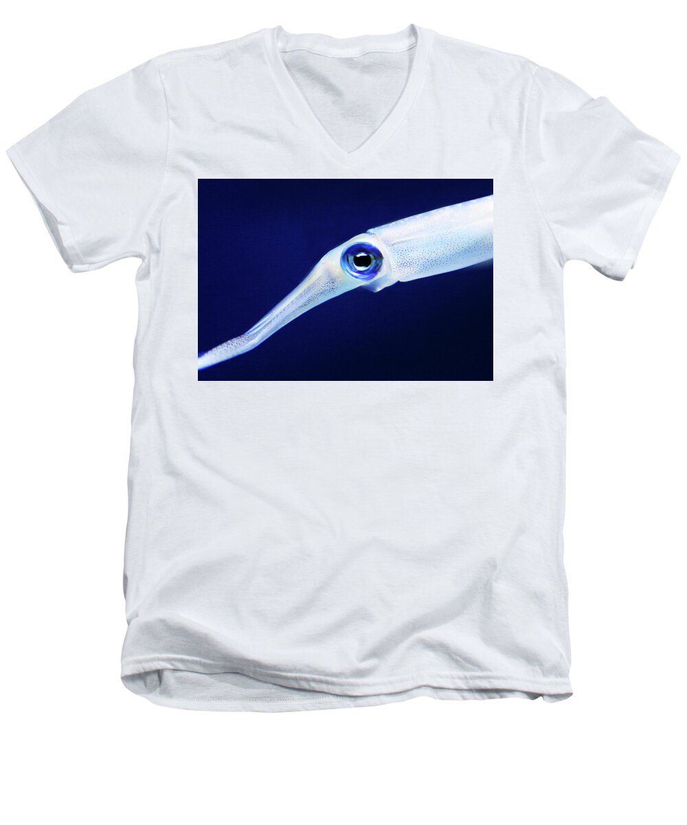 Squid Men's V-Neck T-Shirt featuring the photograph Squid by Anthony Jones