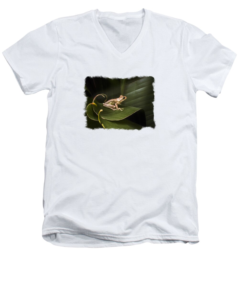 Frog Men's V-Neck T-Shirt featuring the photograph Surfing the Wave Bordered by Debra and Dave Vanderlaan