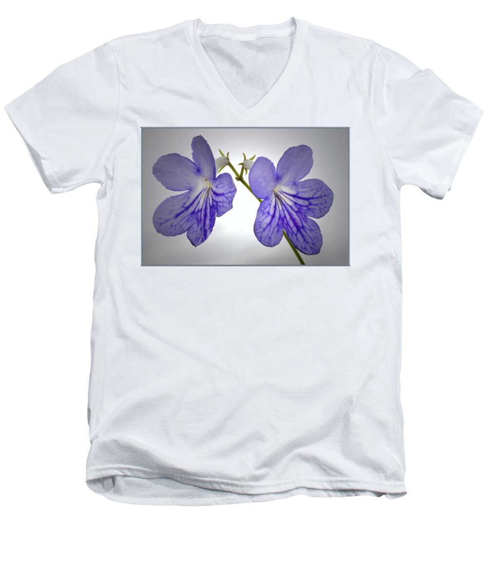 Streptocarpus Flowers Men's V-Neck T-Shirt featuring the photograph The Betham Twins. by Terence Davis