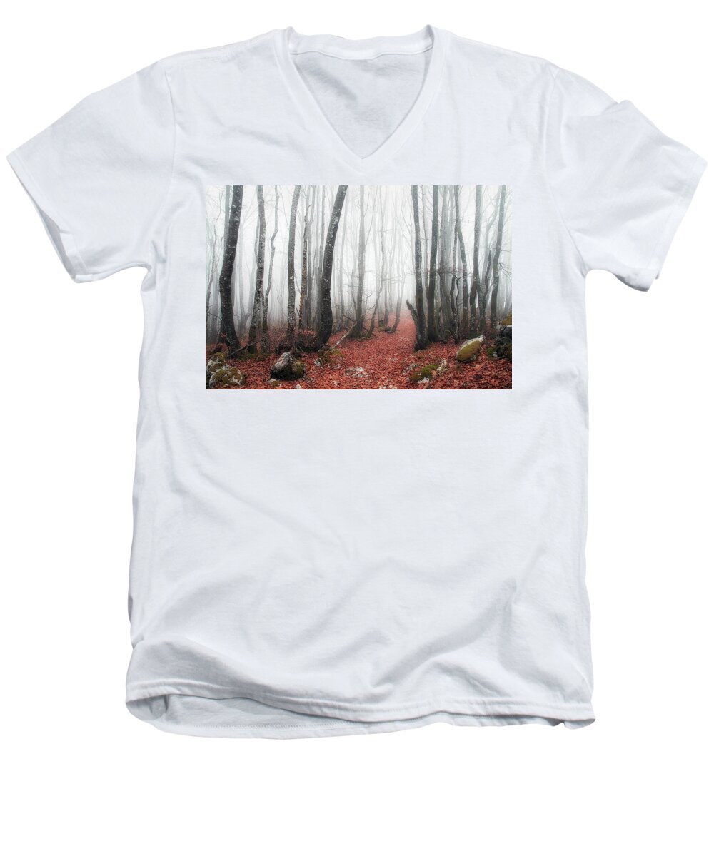 Forest Men's V-Neck T-Shirt featuring the photograph The corridor by Mikel Martinez de Osaba