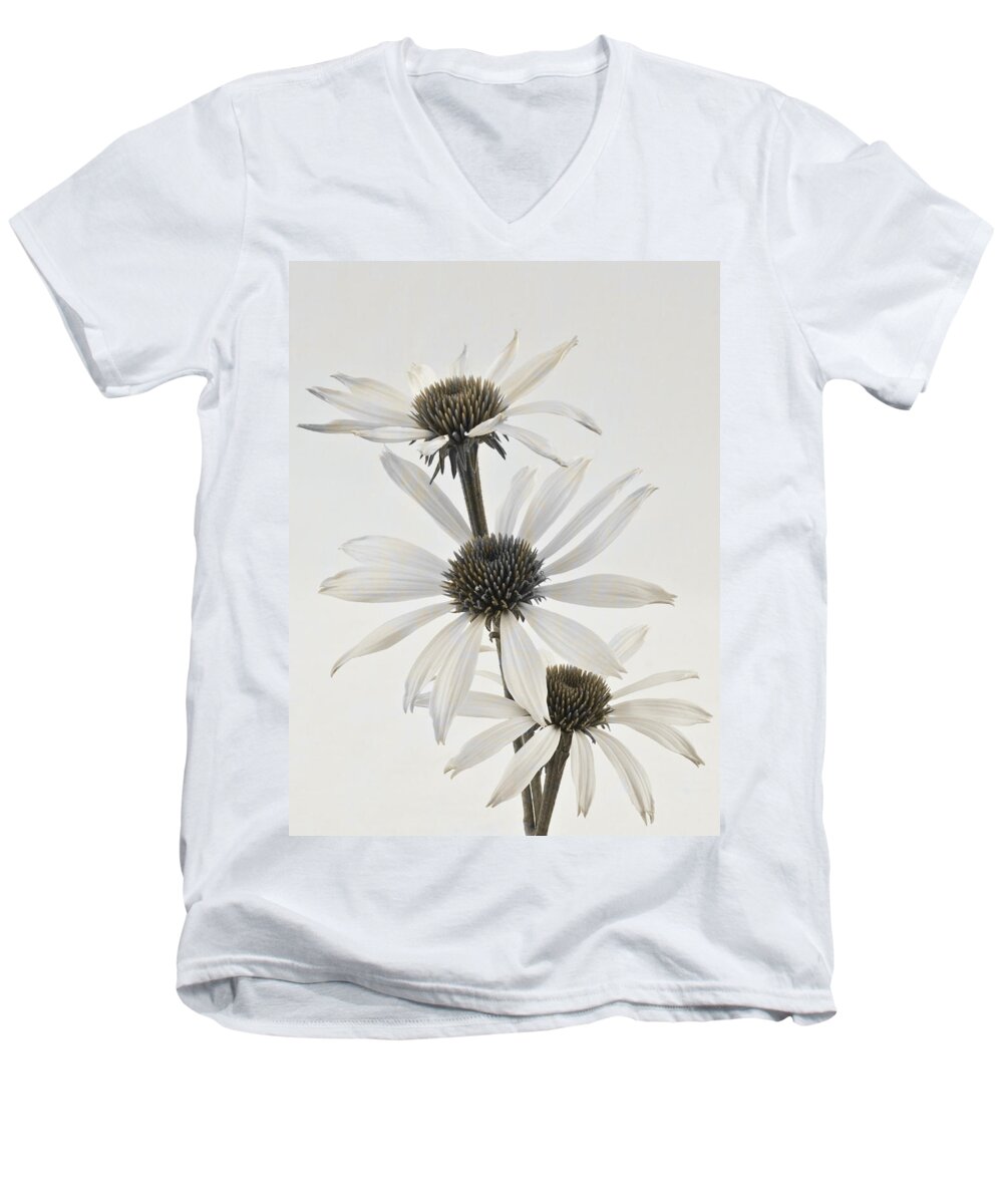 Cone Flowers Men's V-Neck T-Shirt featuring the photograph Three White Coneflowers by Sandra Foster