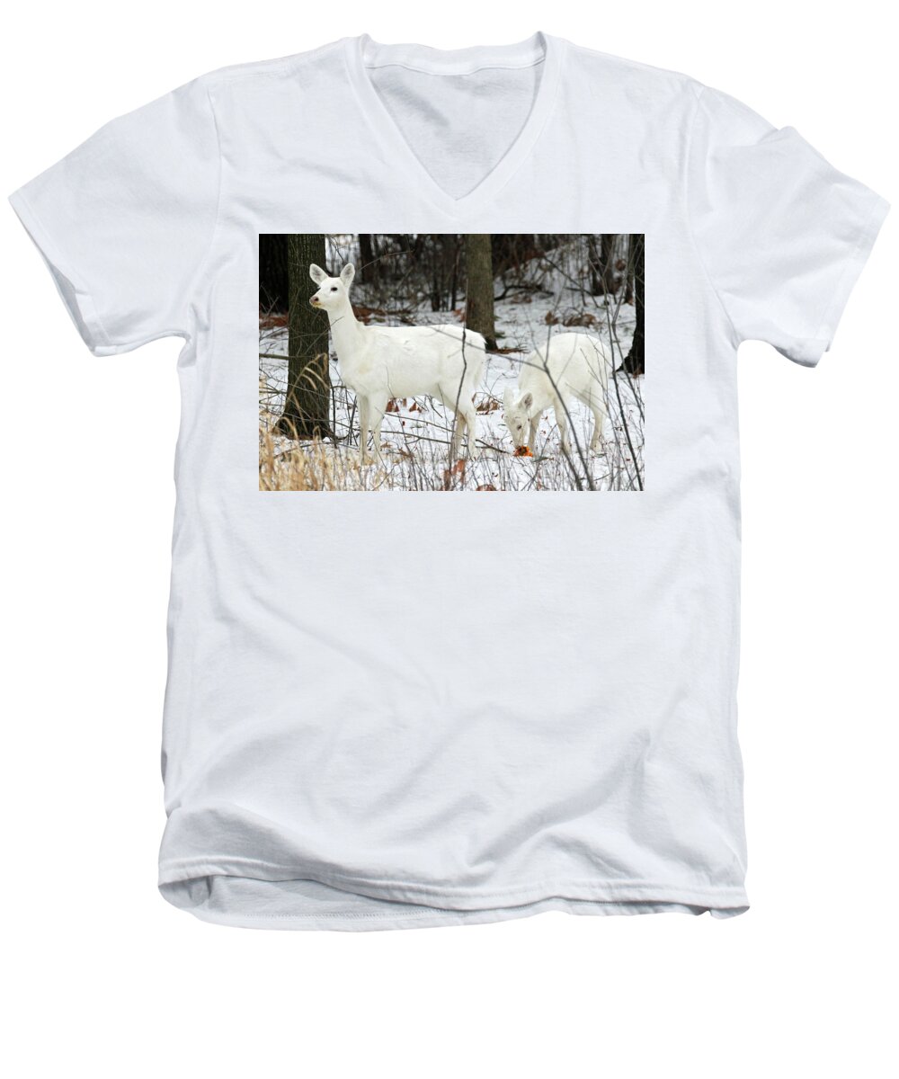 White Men's V-Neck T-Shirt featuring the photograph White Deer With Squash 4 by Brook Burling