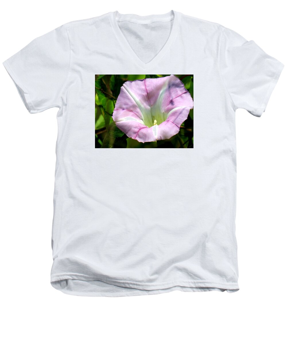 Wild Morning Glory Men's V-Neck T-Shirt featuring the photograph Wild Morning Glory by Eric Switzer