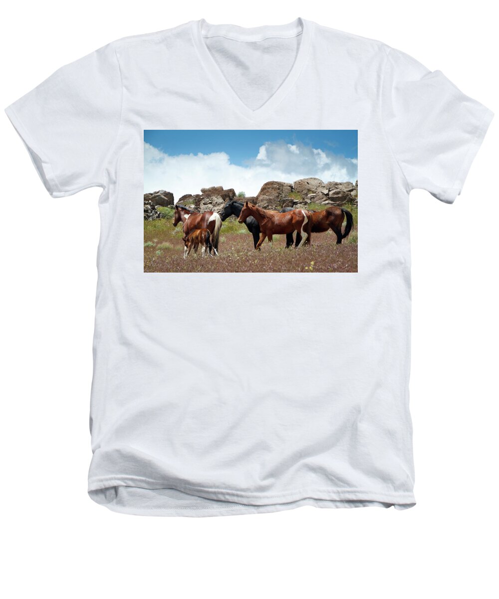 Horses Men's V-Neck T-Shirt featuring the photograph Wild Mustang Herd in the Springtime. by Waterdancer