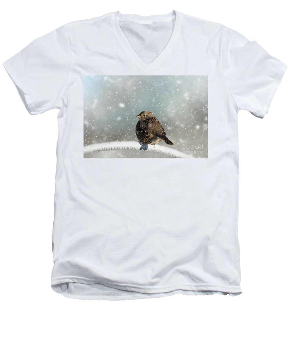 Golden-crowned Sparrow Men's V-Neck T-Shirt featuring the photograph Winter Morning by Eva Lechner