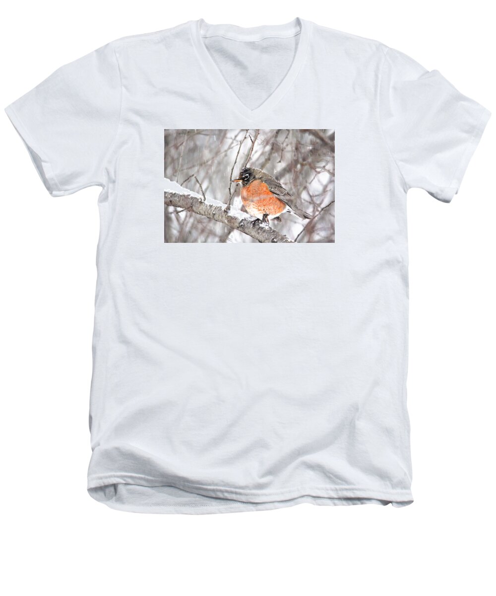 Birds Men's V-Neck T-Shirt featuring the photograph Winter Robin by Trina Ansel