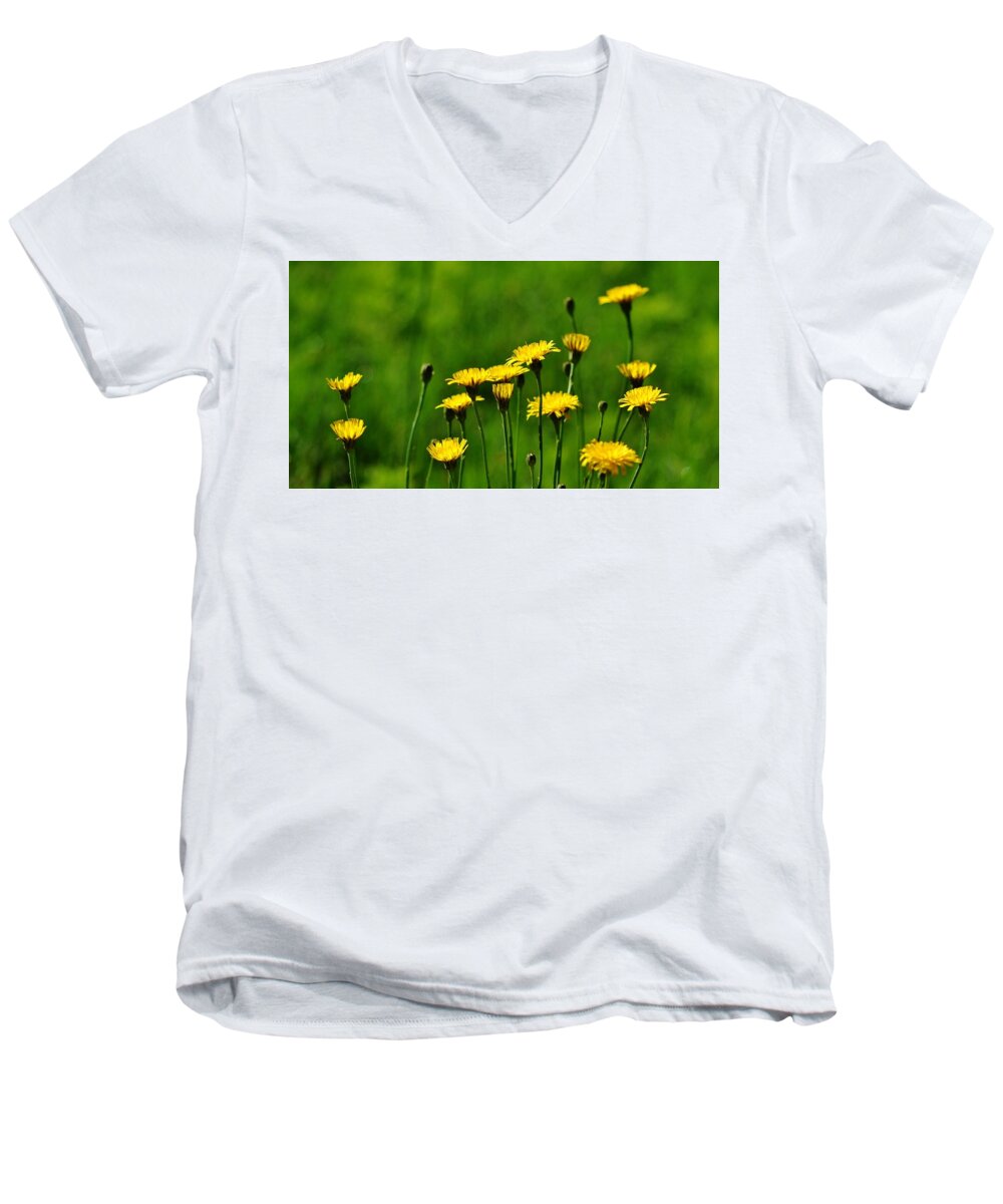 Yellow Men's V-Neck T-Shirt featuring the photograph Yellow Wildflowers by Eileen Brymer