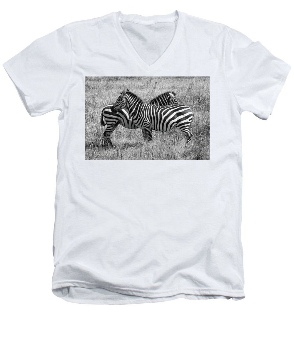 African Wildlife Men's V-Neck T-Shirt featuring the photograph Zebra Pair in Africa by Gill Billington