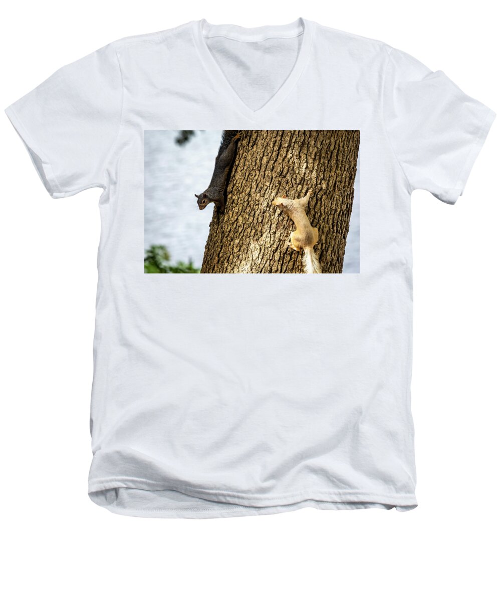 White Squirrel Men's V-Neck T-Shirt featuring the photograph White Squirrel #2 by David Wagenblatt