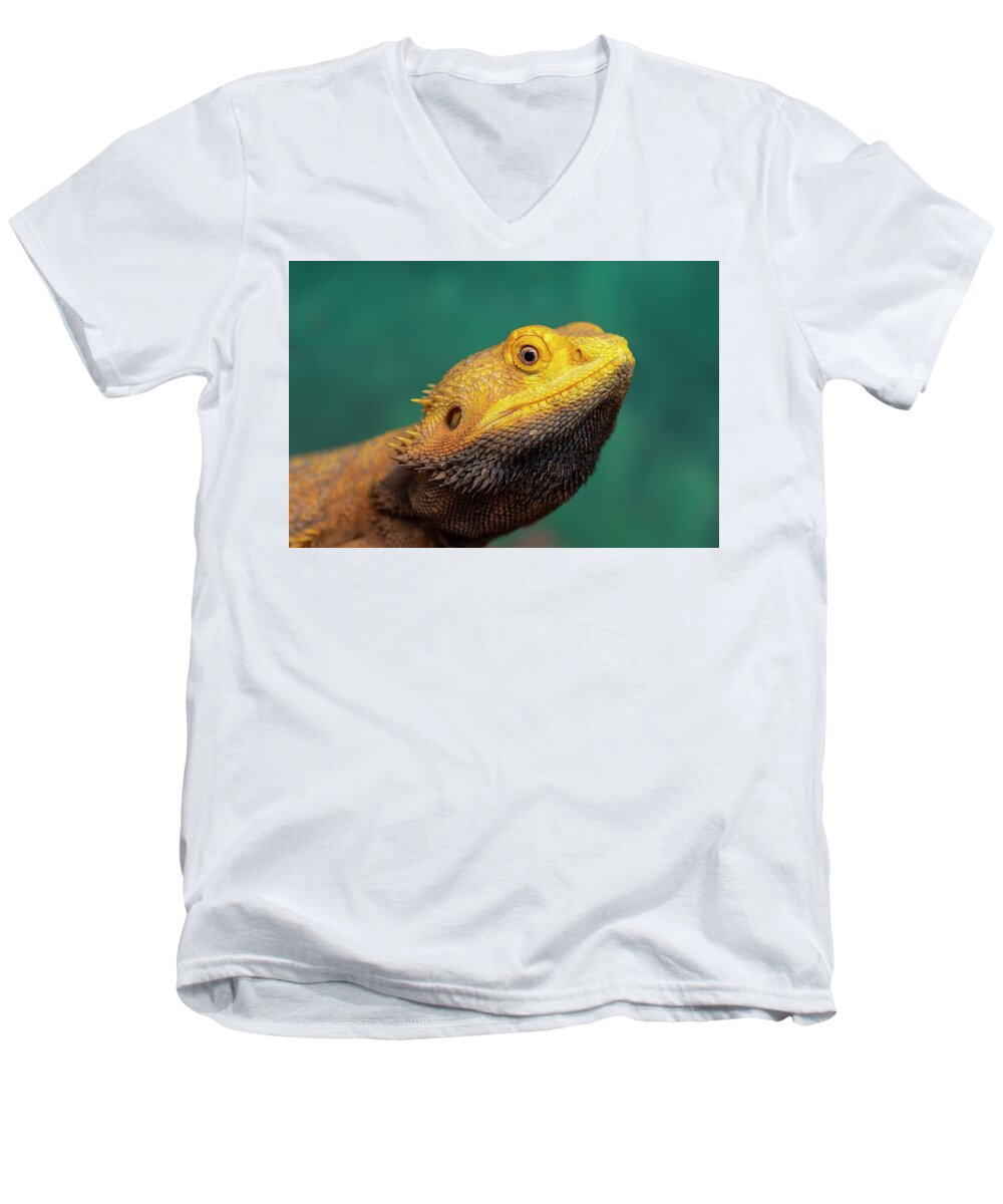 Bearded Dragon Men's V-Neck T-Shirt featuring the photograph Bearded Dragon 2 by Steev Stamford